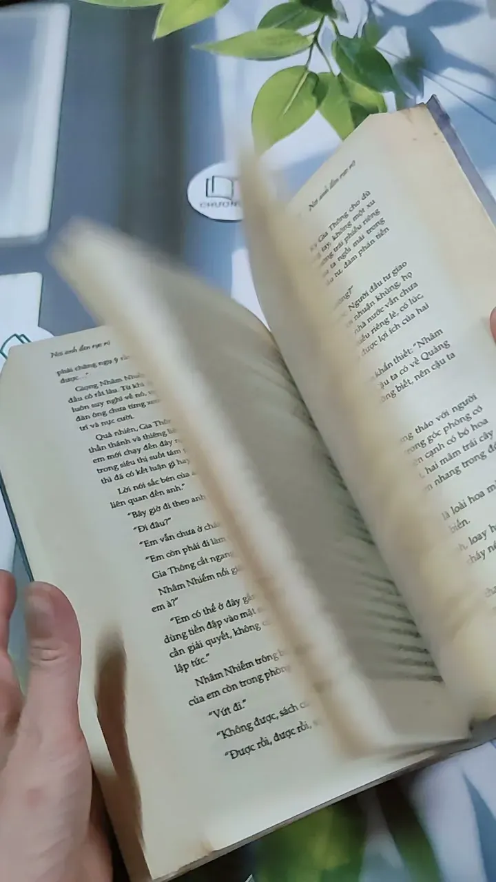 Nơi Ánh Đèn Rực Rỡ - Thanh Sam Lạc Thác 744762