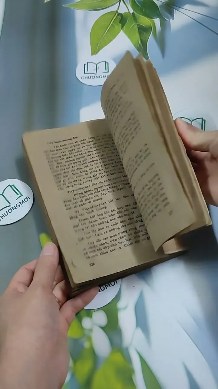 Truyện dân gian Phần Lan: CaLêVaLa 713883