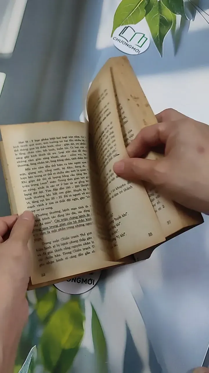 [XƯA] 6 Bí Quyết Dưỡng Sinh Người Có Tuổi (1994) 776147