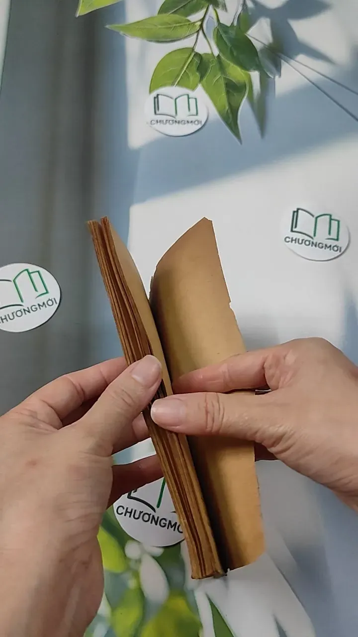 [XƯA] Bí Mật Đại Não (1982) - BS. Cao Trường Thọ 775987