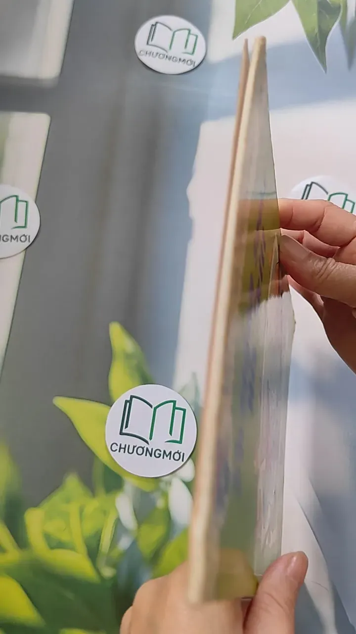 English For Children: Sheldon Seeks His Skill 754442