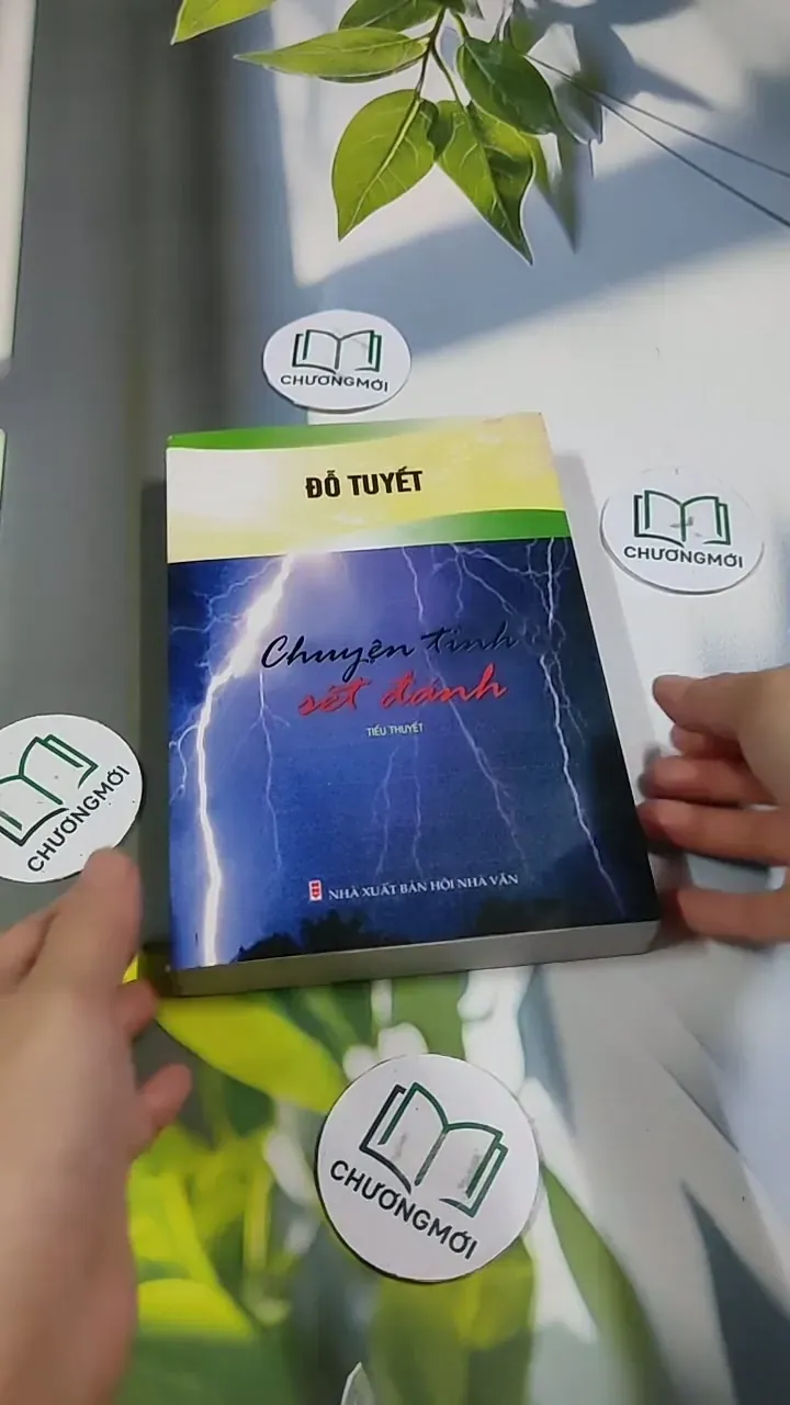 Chuyện Tình Sét Đánh - Đỗ Tuyết 705741