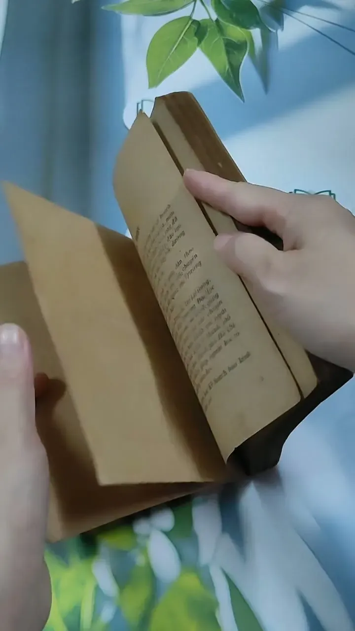 Kế Hoạch Hóa Kinh Tế Quốc Dân - Du Lô Giang 713884