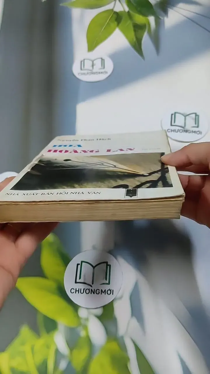 Hoa Hoàng Lan - Nguyễn Phan Hách 713866