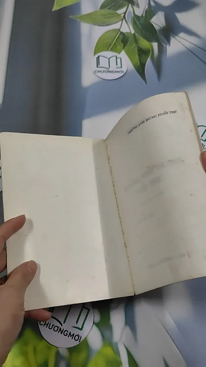 [XƯA] Những Anh Hùng Tuổi Trẻ (1999) 776037