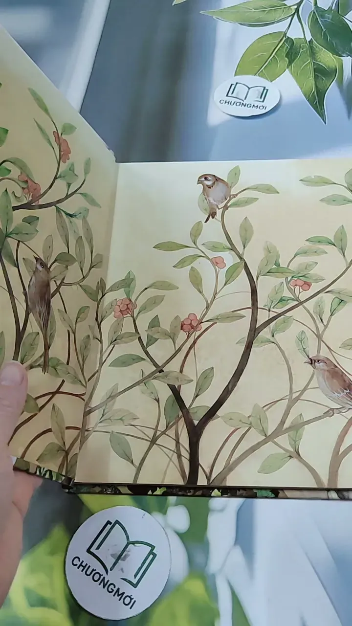 [Tặng nẹp góc] Truyện thiếu nhi Hàn Quốc: Moyamo Anu 37 -  모야모 아누와: 다정한 오누이 732034