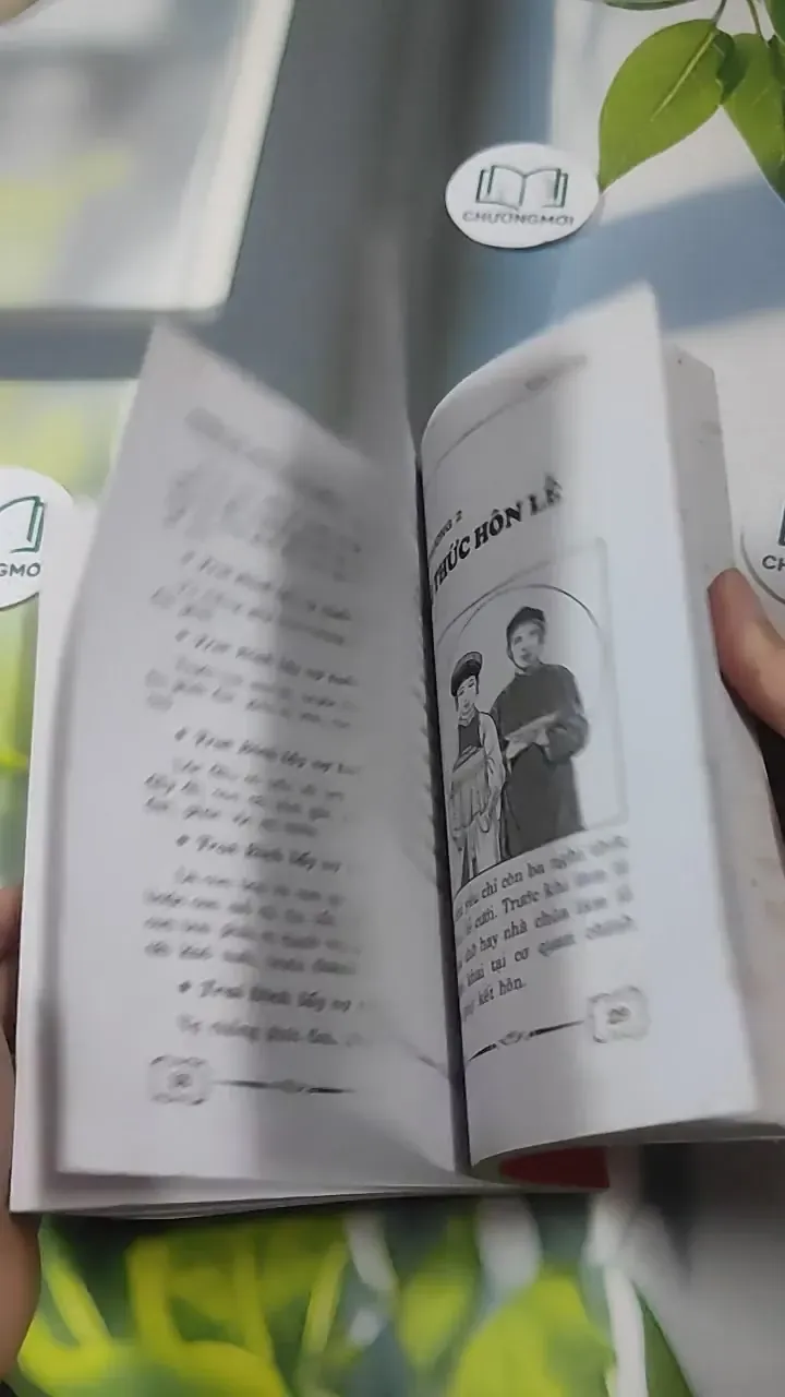 Phong Tục Dựng Vợ Gả Chồng - Như Hùng 727386