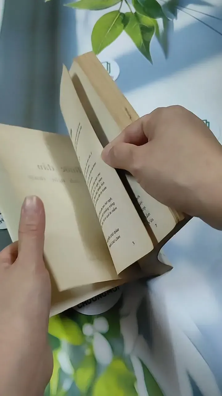 [MIỄN PHÍ BỌC SÁCH] Bước Đầu Nhiếp Ảnh Nghệ Thuật - Nguyễn Cao Đàm & Trần Cao Lĩnh 713882