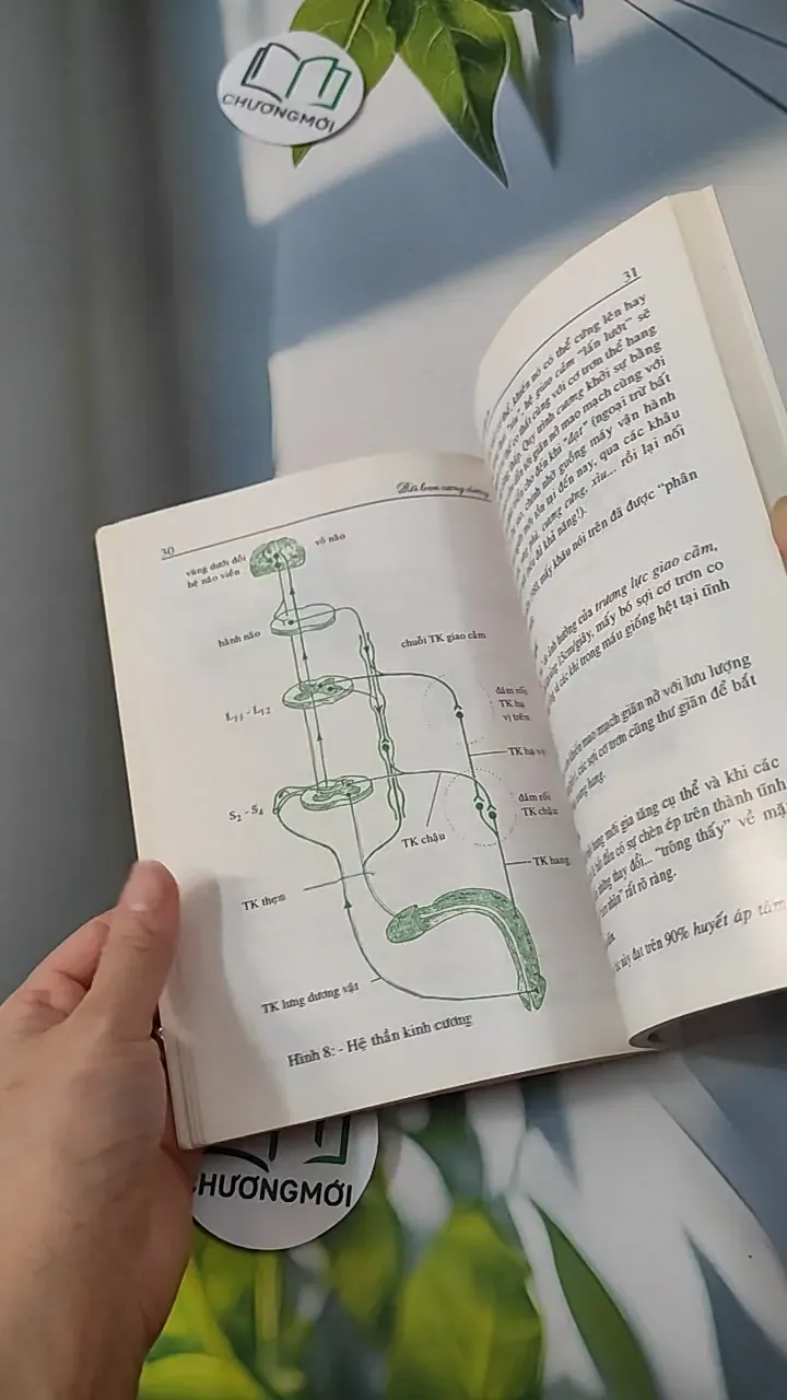 Rối Loạn Cương Dương - Căn Bản Chuẩn Đoán Và Điều Trị - Trần Bổng Sơn 780801