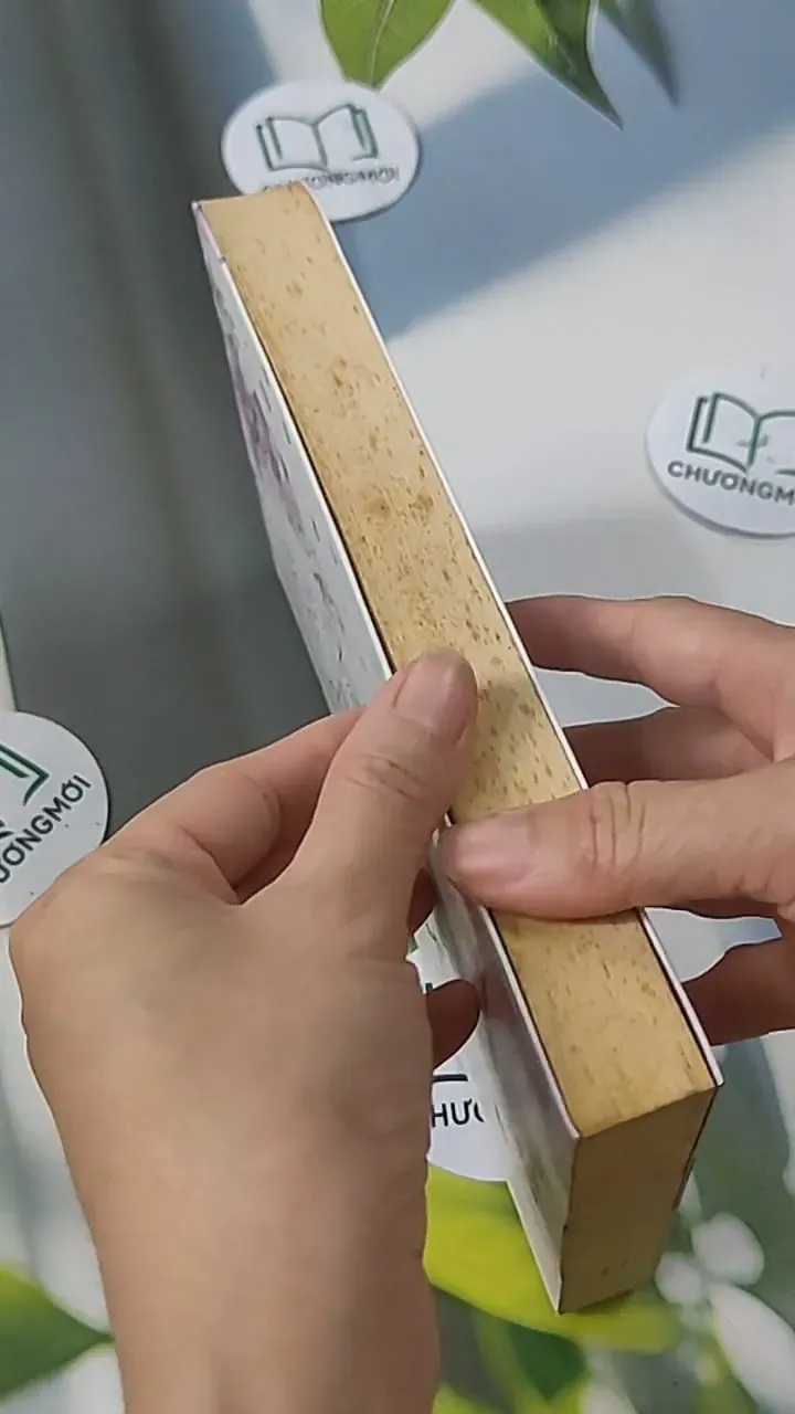 Thất Tịch Không Mưa - Lưu Vũ Tình 705586