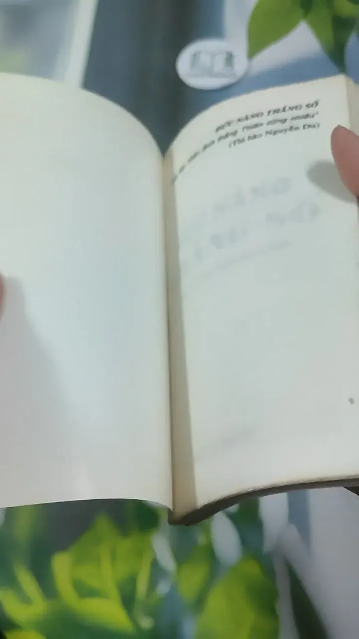 Đức Năng Thắng Số - Lê Phương Chi 727345