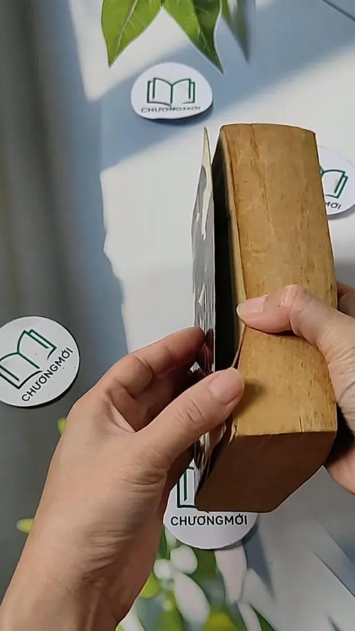 [MIỄN PHÍ BỌC SÁCH] Lord of the Silver Bow: Troy - David Gemmell 703083