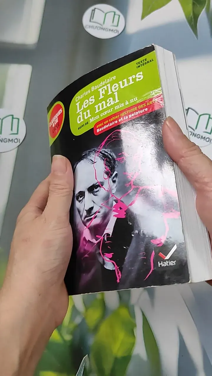 Les Fleurs du mal - Charles Baudelaire 754503