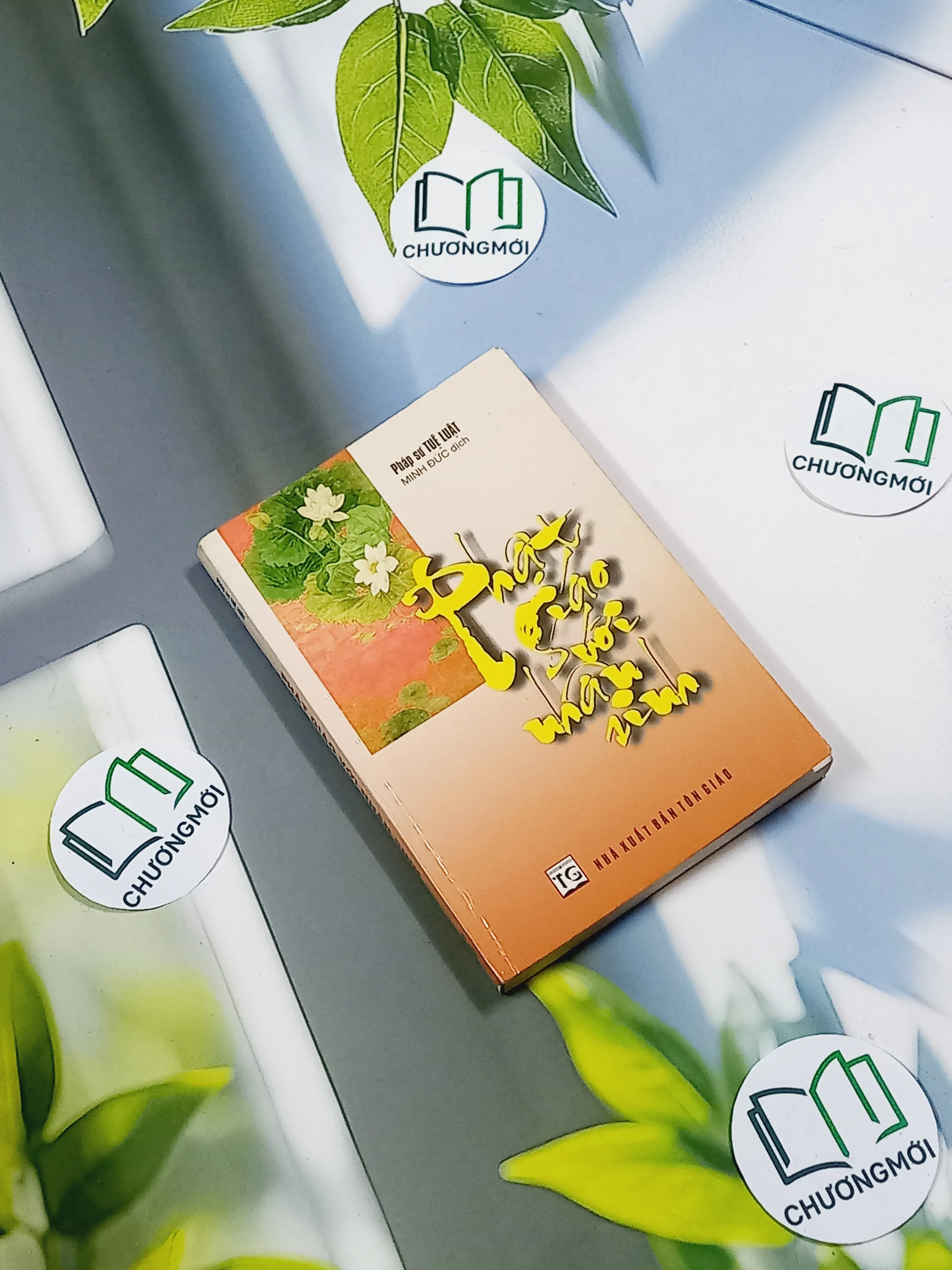 Phật Giáo Với Nhân Sinh - Pháp Sư Tuệ Luật