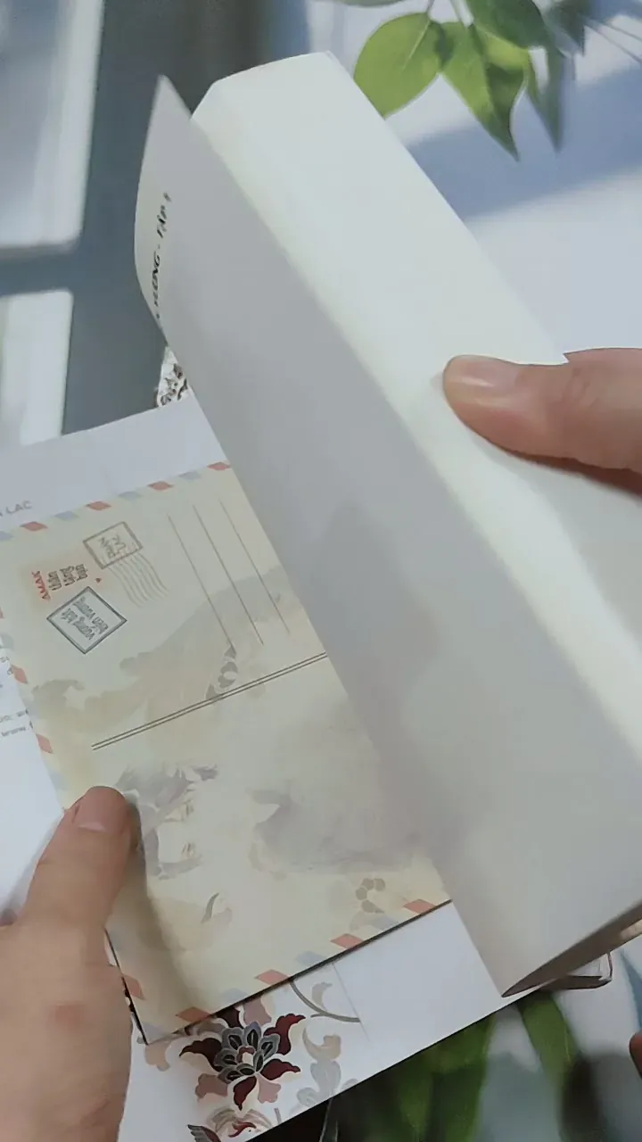 [MIỄN PHÍ BỌC SÁCH] Bộ Vương Bất Kiến Vương - 5 tập - Phản Lạc 744704