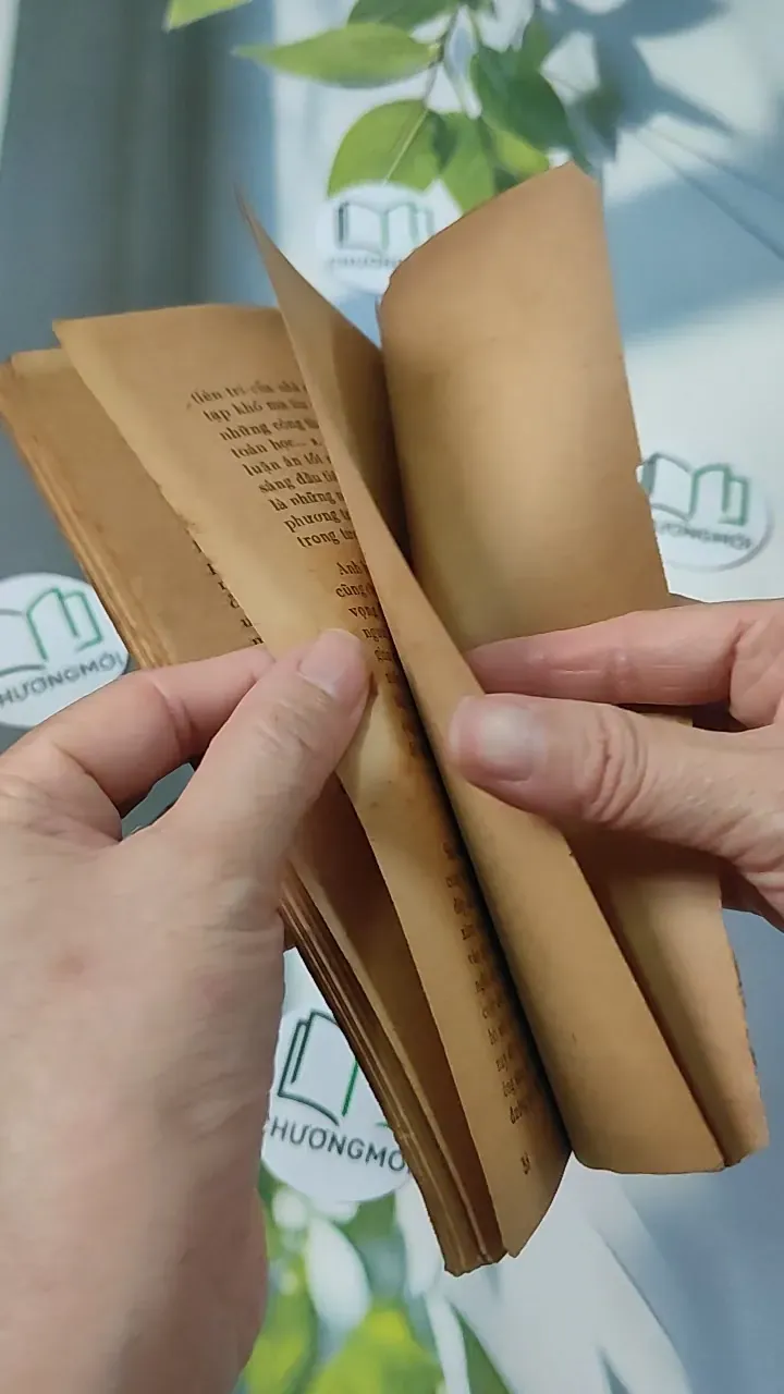 [XƯA] Bí Mật Đại Não (1982) - BS. Cao Trường Thọ 775987