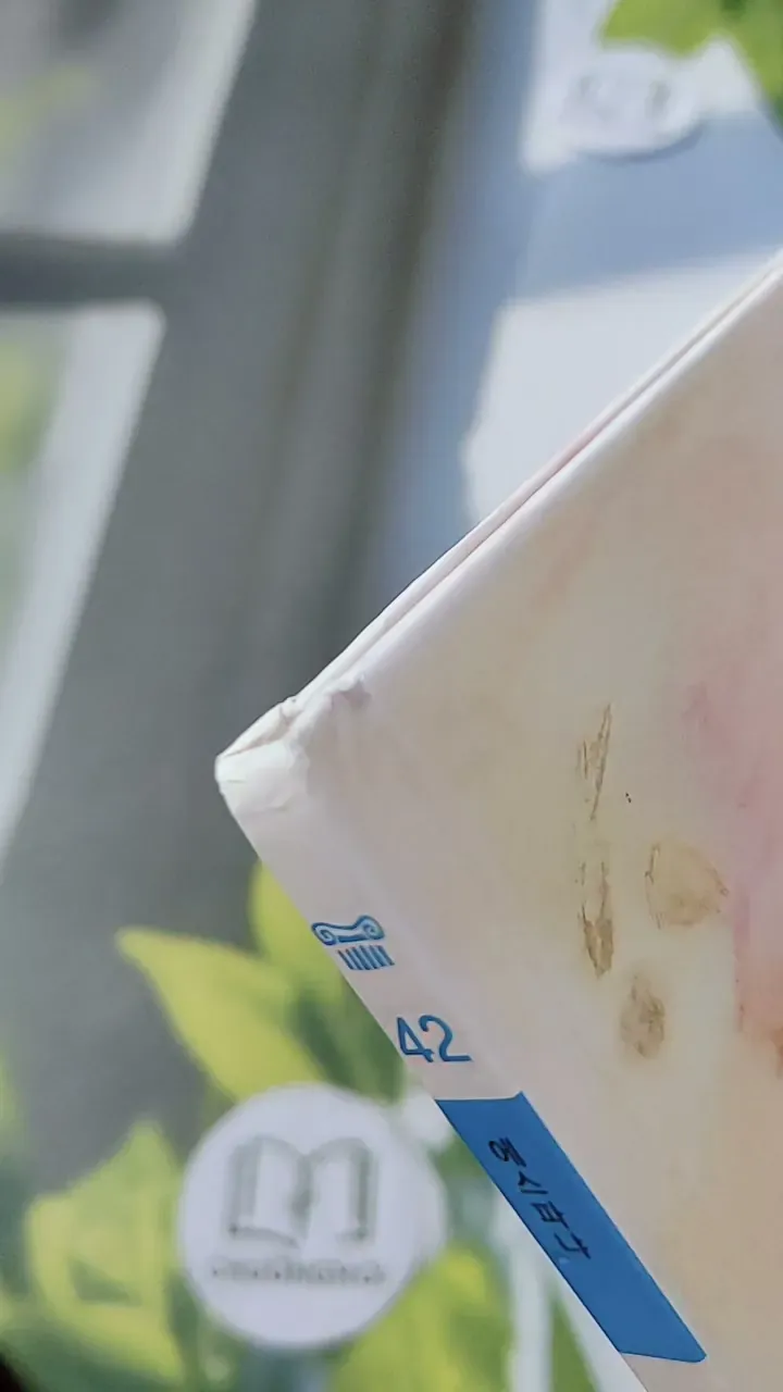 [Tặng nẹp góc] Truyện thiếu nhi Hàn Quốc: Moyamo Anu 42 -  모야모 아누와: 거짓말 나라;. 산 귀신이 된 고집불통 732043