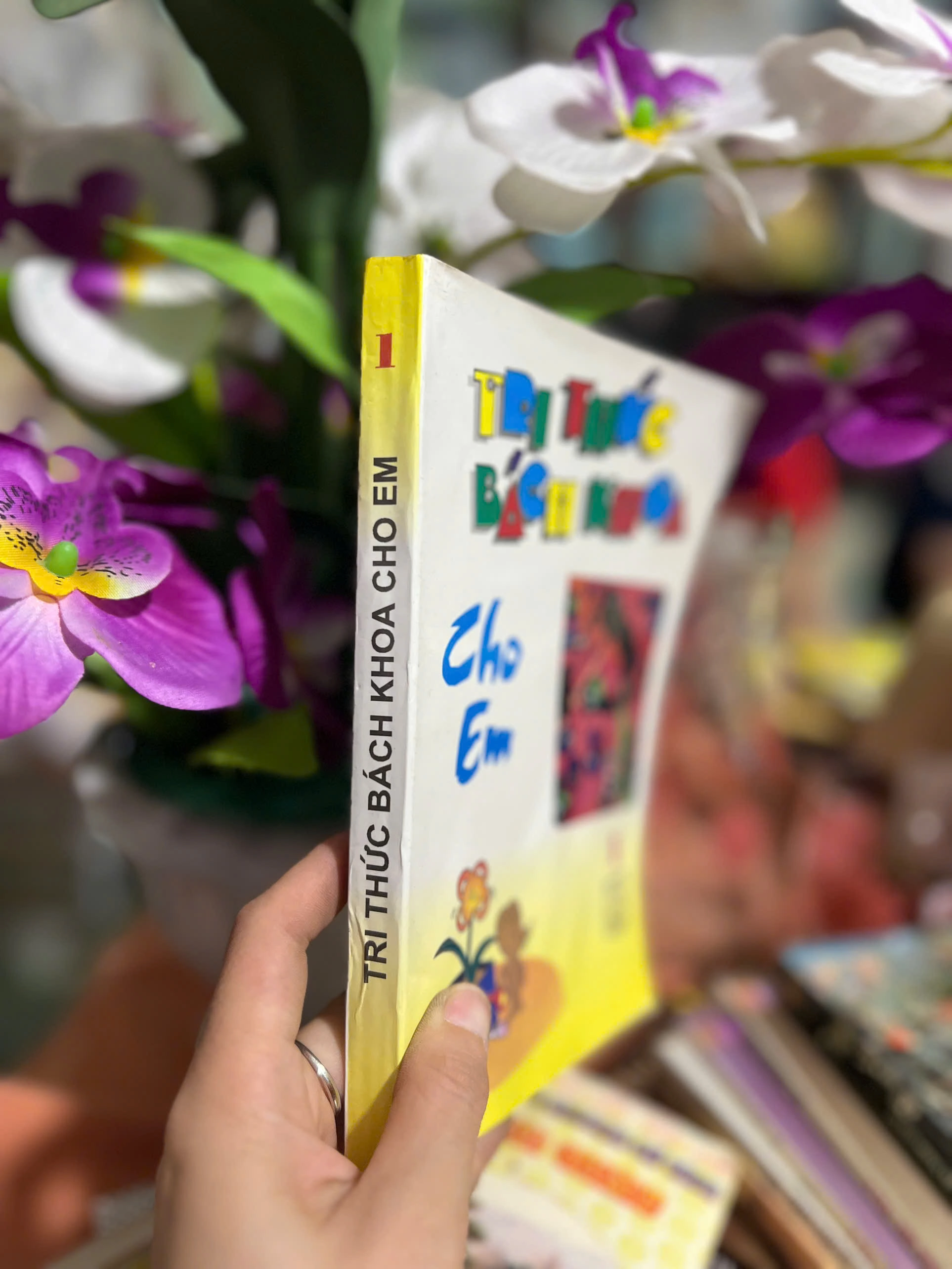 Tri Thức Bách Khoa Cho Trẻ Em by  - Sách Book Cover - Ngọc Hiển Books