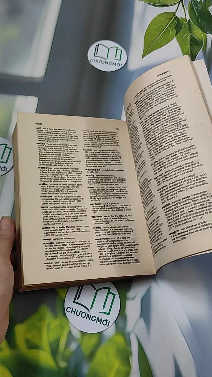 [XƯA] The Oxford Dictionary of Modern Slang (1995) - John Ayto & John Simpson 754532