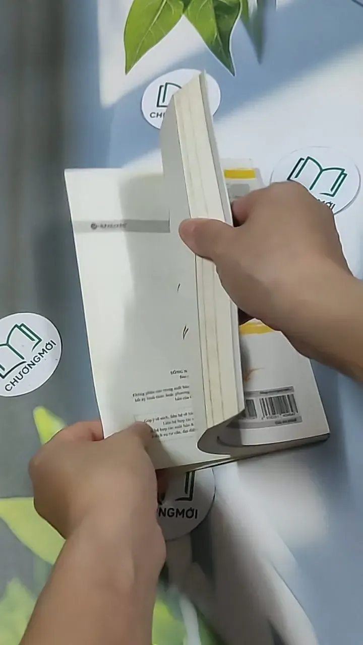 Sống như ngày mai sẽ chết - Phi Tuyết 698578