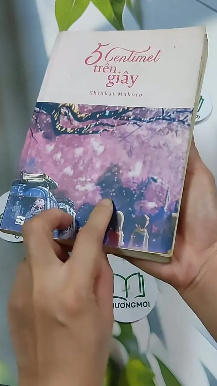 5 Centimet Trên Giây 703127