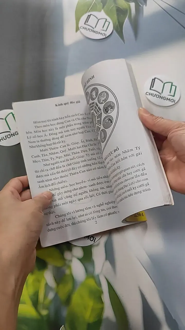 Cao Ly Đầu Hình 775958