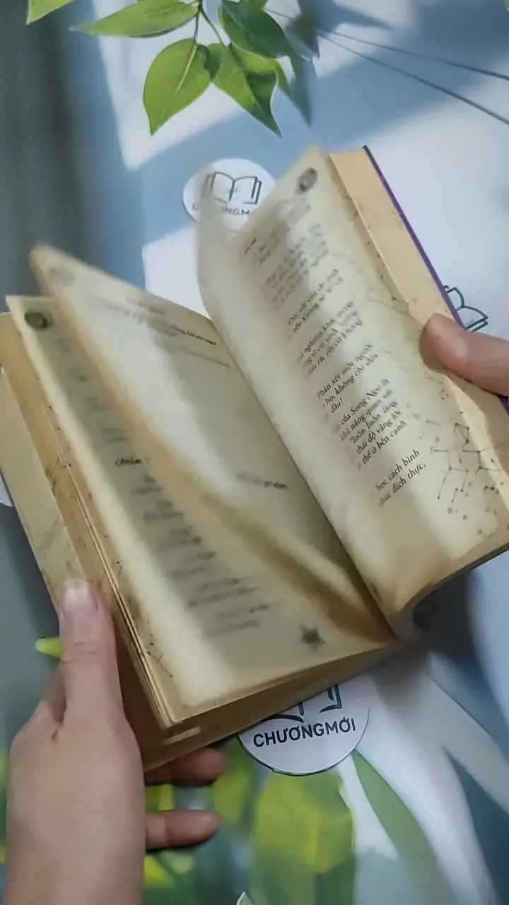 Mật Ngữ 12 Chòm Sao: Mật Ngữ Tình Yêu - MN12CS 707311