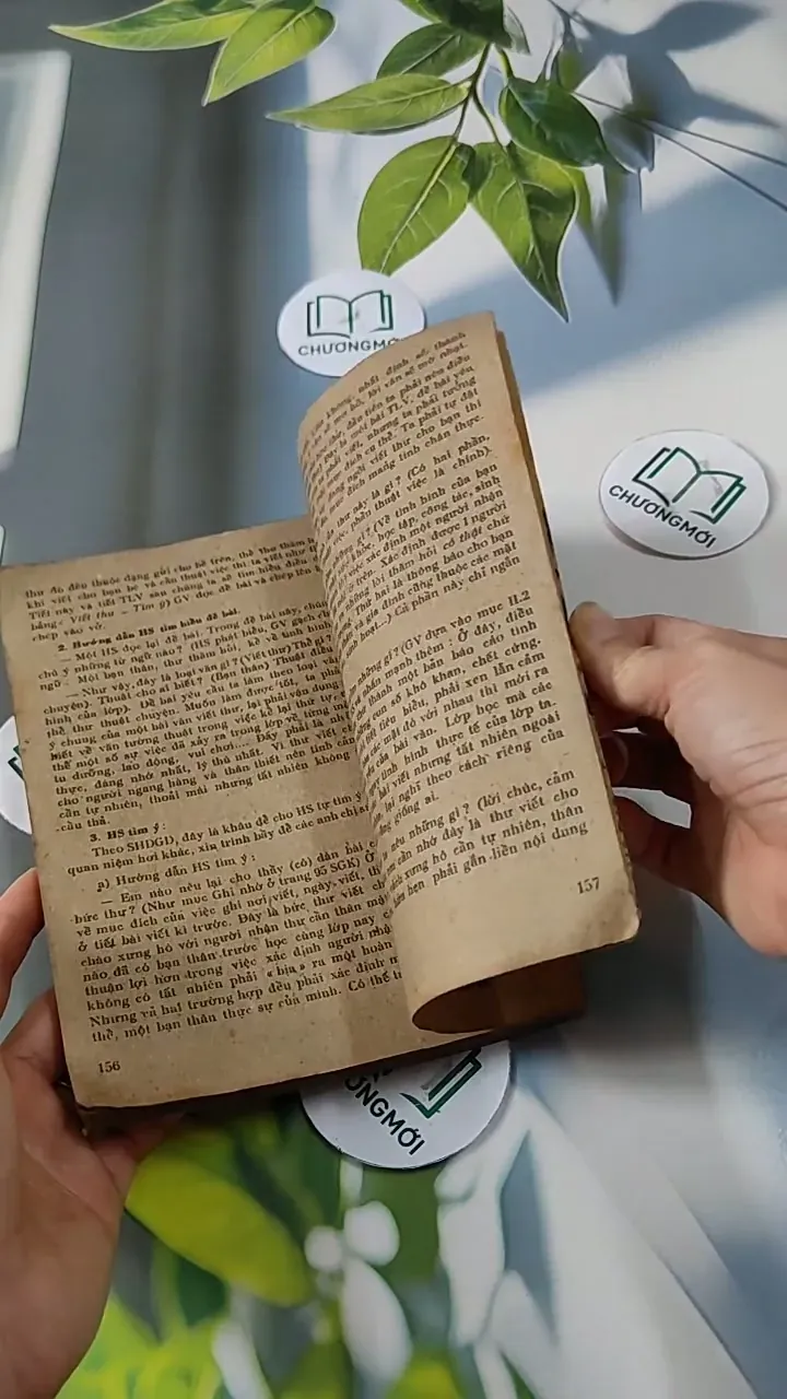 Giảng dạy bộ môn Tiếng Việt và Văn Học lớp 5 cải cách giáo dục (tập 4) - Đặng Mạnh Thường 713804