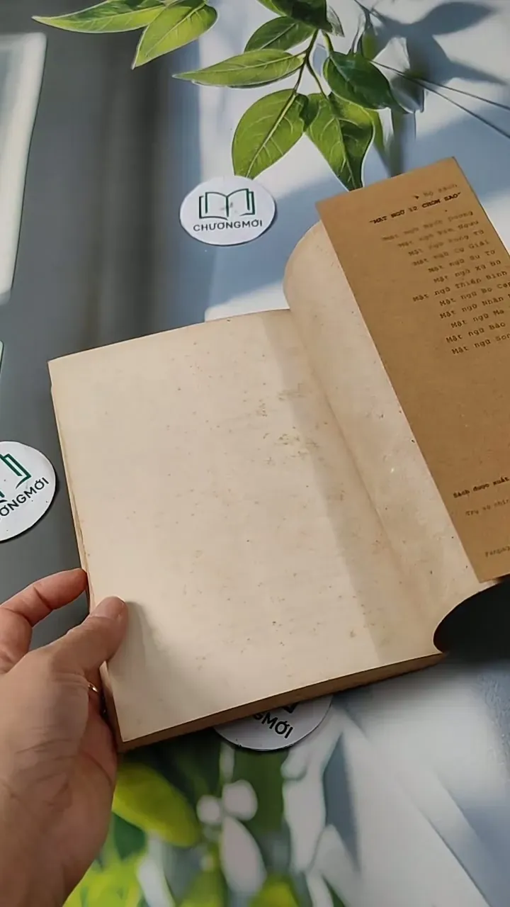 Mật ngữ Bảo Bình - Nhieu tác giả 713793