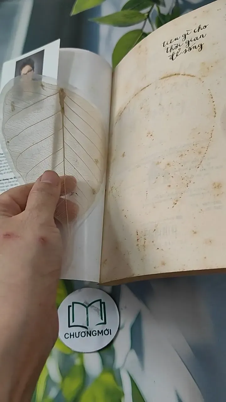 Tiêu Gì Cho Thời Gian Để Sống - Hoàng Việt Hằng 727247