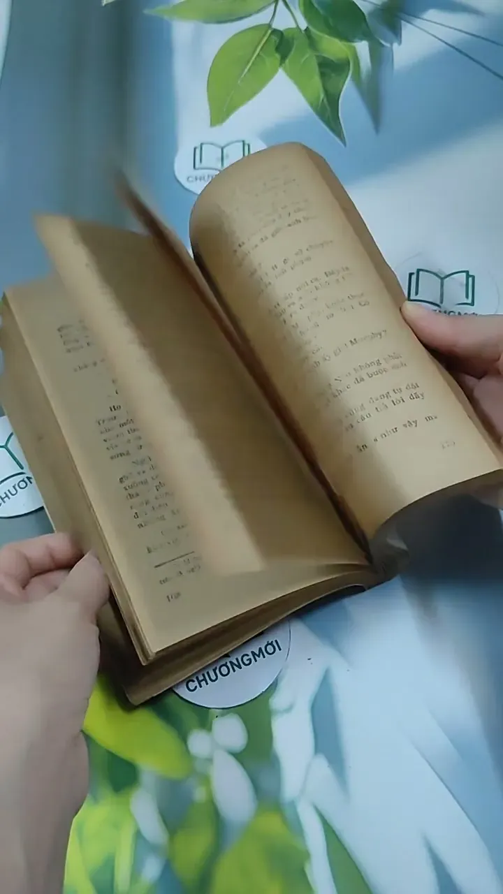 Kẻ Giấu Mặt - Matthews Adam 713890