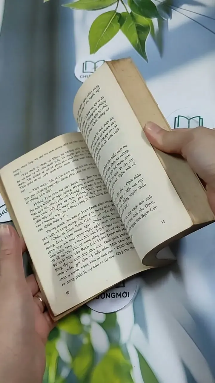 Người Đẹp Tây Đô (Tập 2) - Trầm Hương 713868