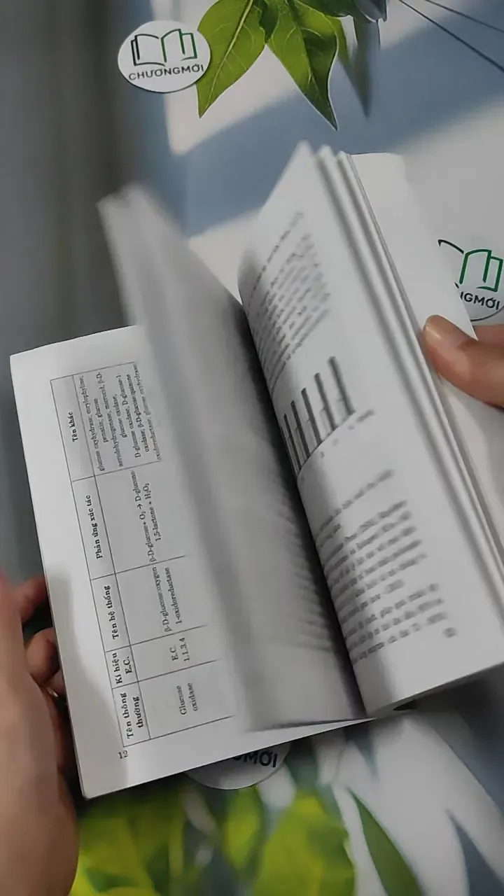 Ứng Dụng Enzyme Trong Công Nghiệp Thực Phẩm - Hoàng Kim Anh & Trần Ngọc Hiếu 780872