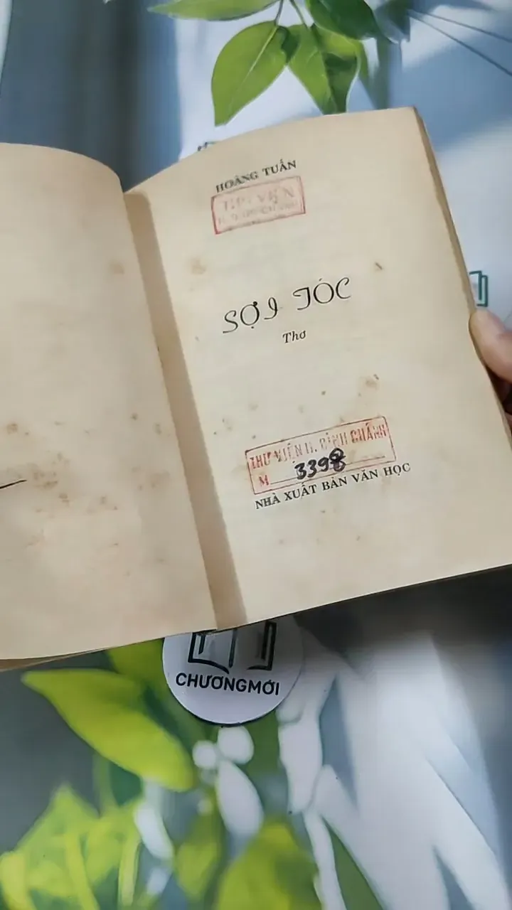 Thơ Sợi Tóc - Hoàng Tuấn 713903