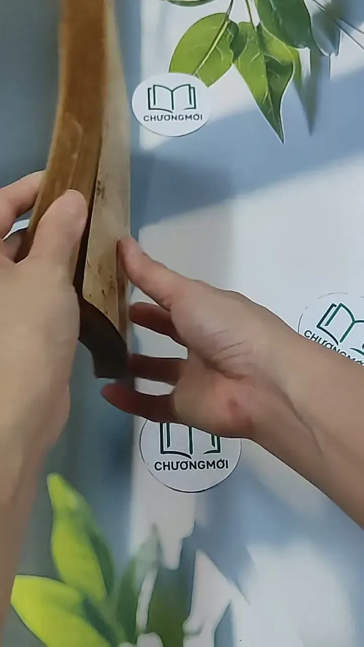 Nhận Thức và Thẩm Định (1983) - Đông Hoài 674969