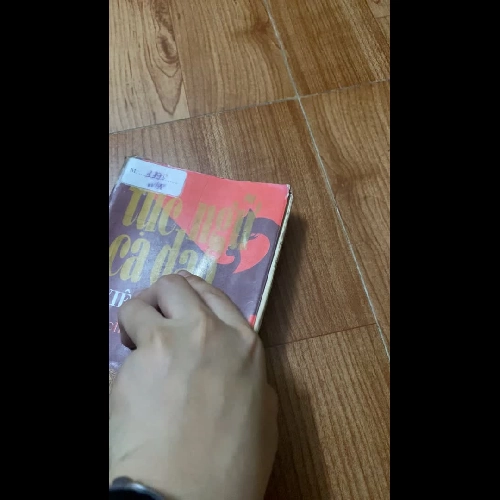 Tục ngữ ca dao Việt Nam