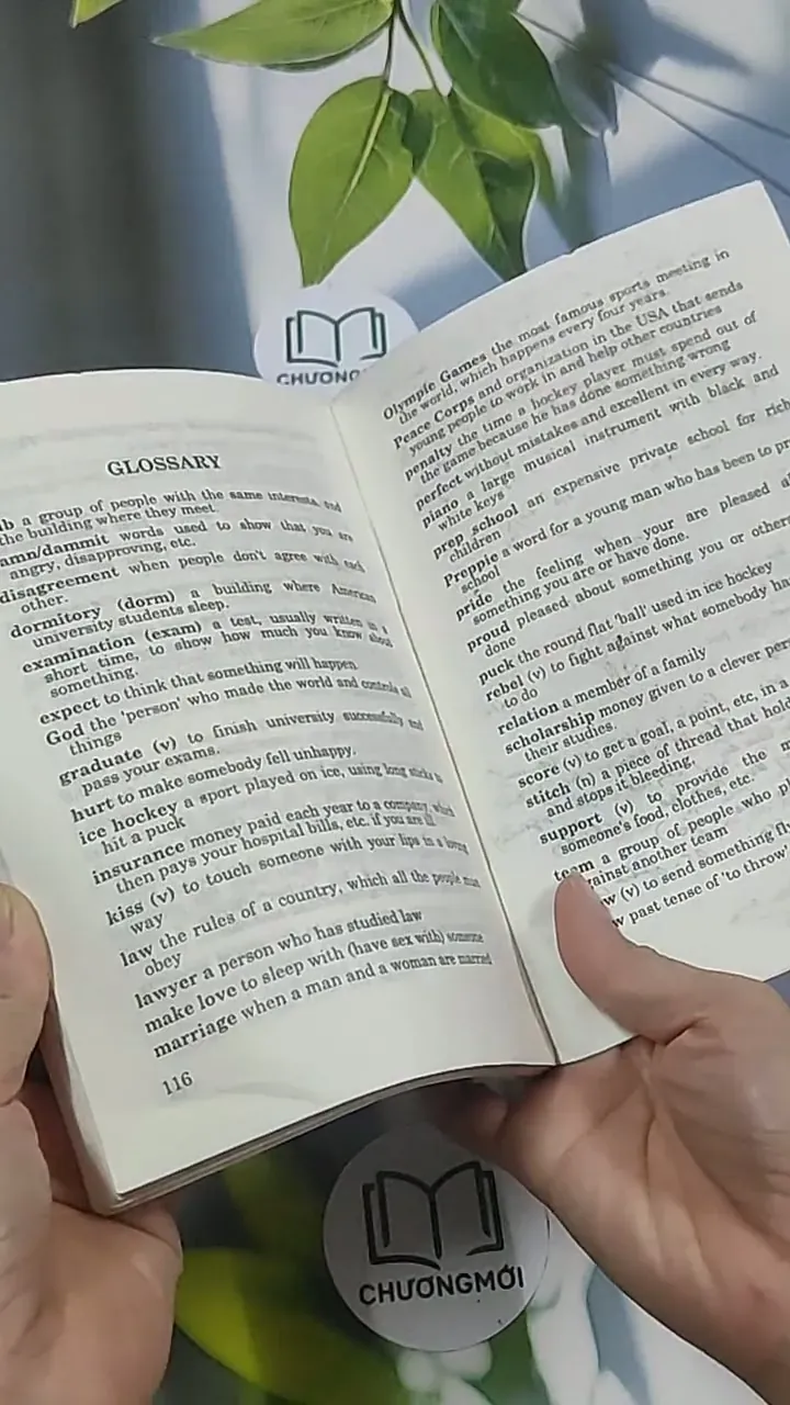 Love Story - Câu chuyện tình yêu - Song ngữ - Erich Segal 694998