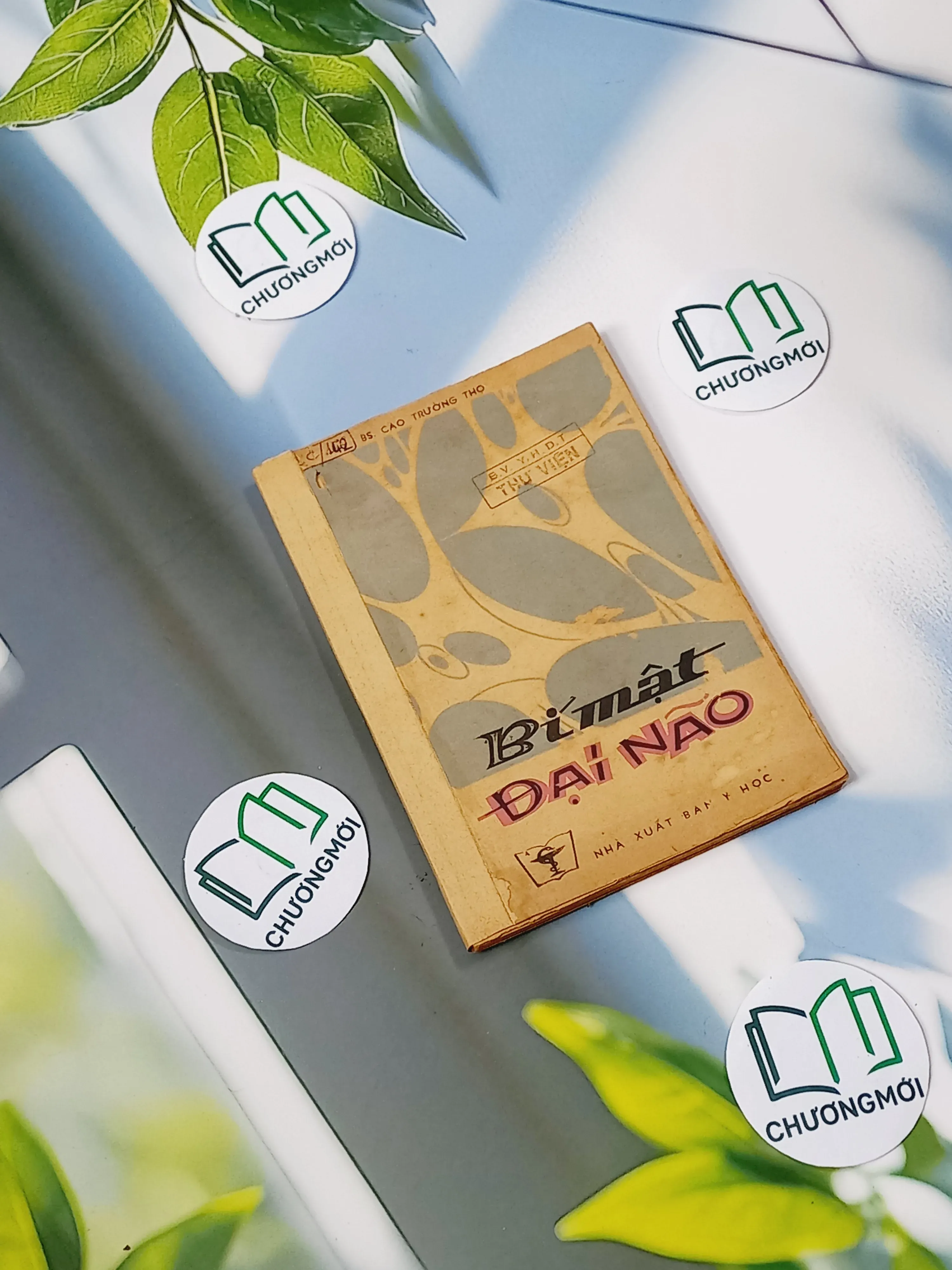 [XƯA] Bí Mật Đại Não (1982) - BS. Cao Trường Thọ