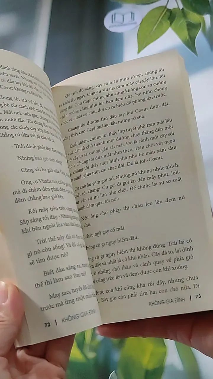 Không gia đình 607750