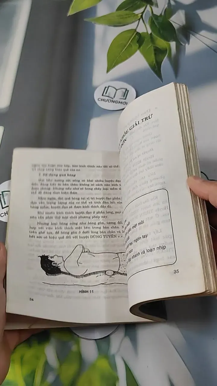 Phương Pháp Bấm Huyệt Chữa Bệnh - Phùng Lực Sinh 727233