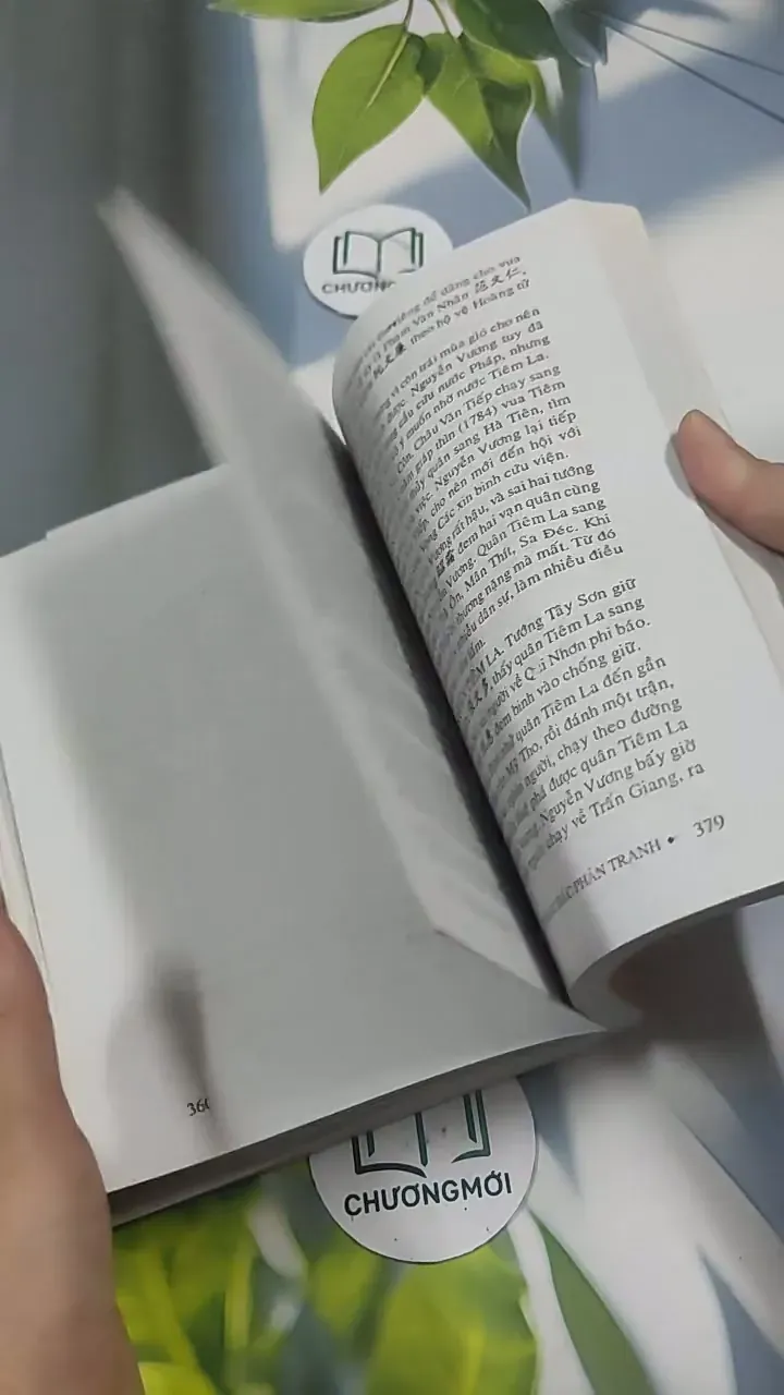 Việt Nam Sử Lược 715609