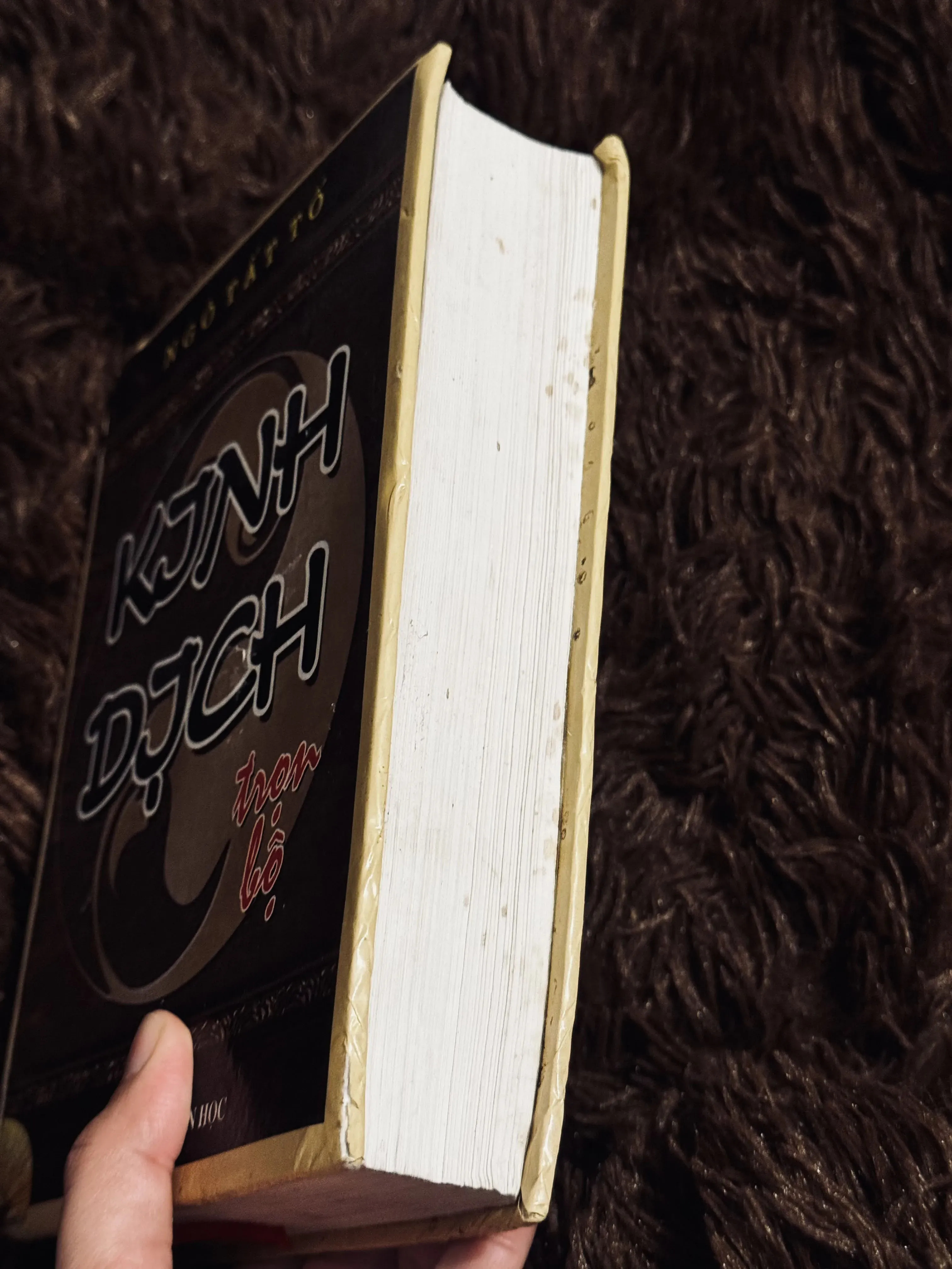 Kinh dịch - Ngô Tất Tố (Trọn bộ) 973519