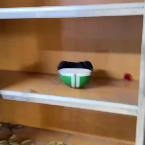 Tủ inox cỡ trung bề mặt sơn tĩnh điện, cửa trượt, có kệ trong