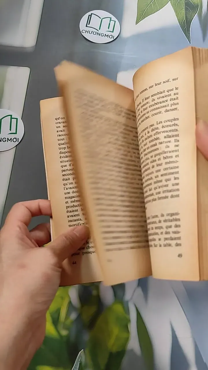 [XƯA] Les Choses (1965) - Georges Perec 754449