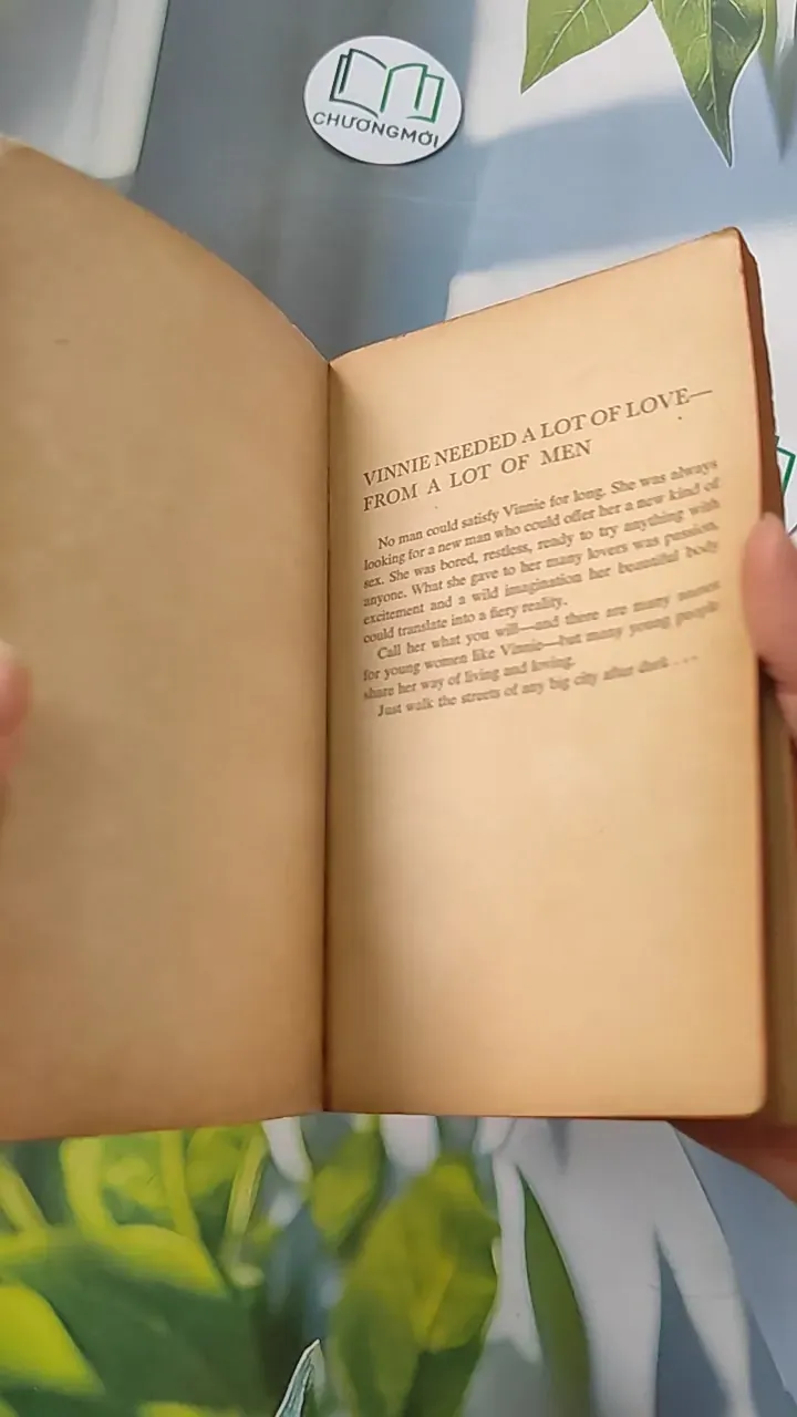 [XƯA] Vinnie (1968) - Albert T. Quandt 754454