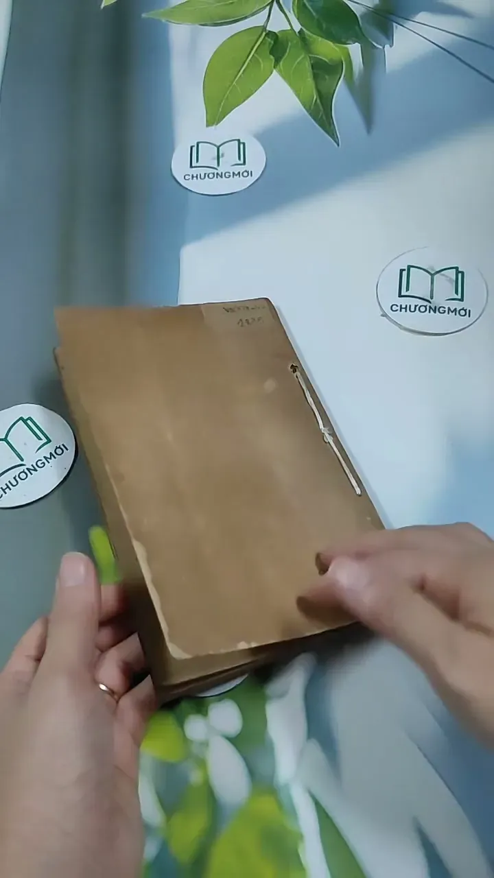 Cổ Tích Thế Giới: Cối Xay Thần 713881