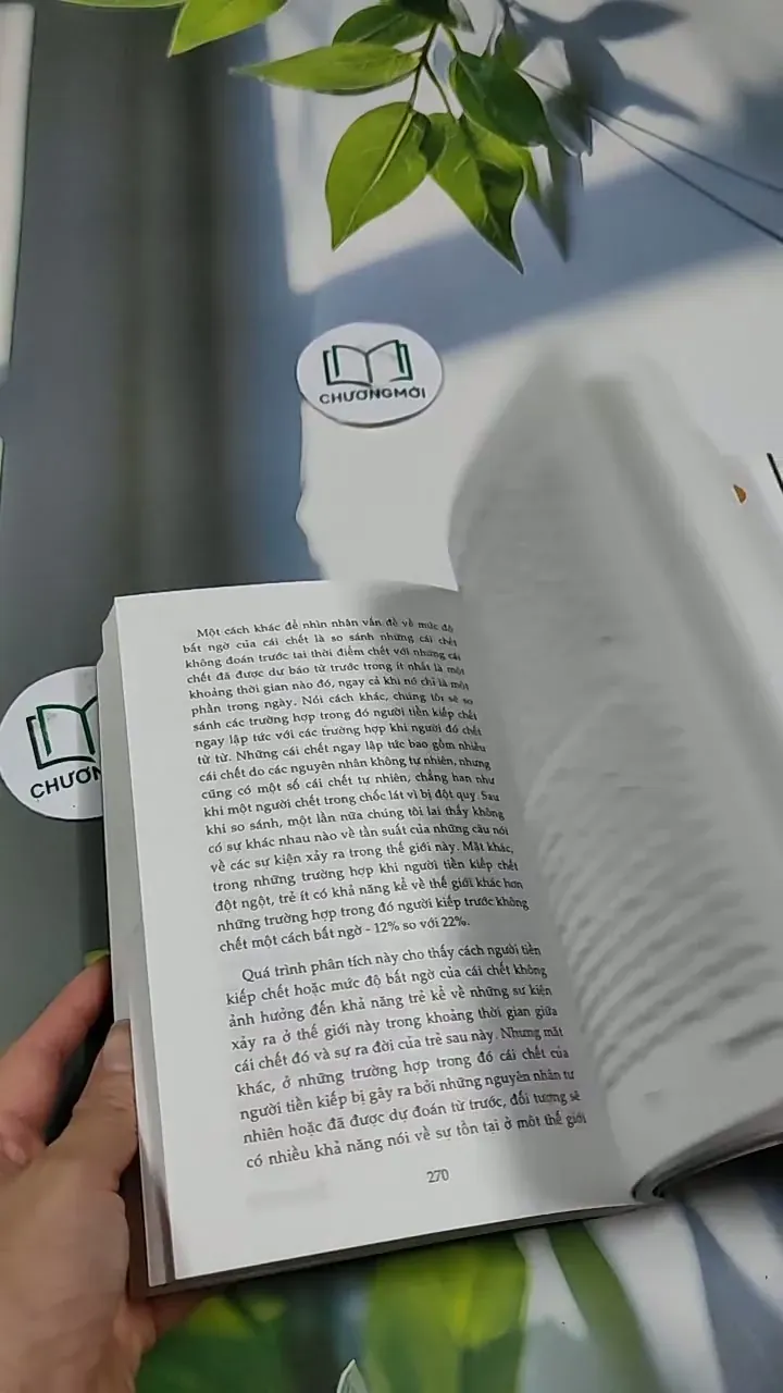 Tiền Kiếp - Có Hay Không? 705673