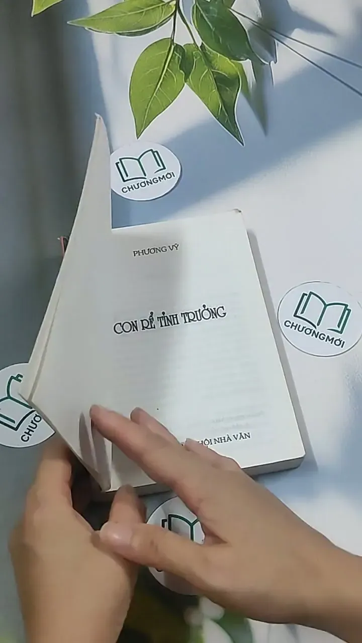 Con rể tỉnh trưởng - Phương Vỹ 695009