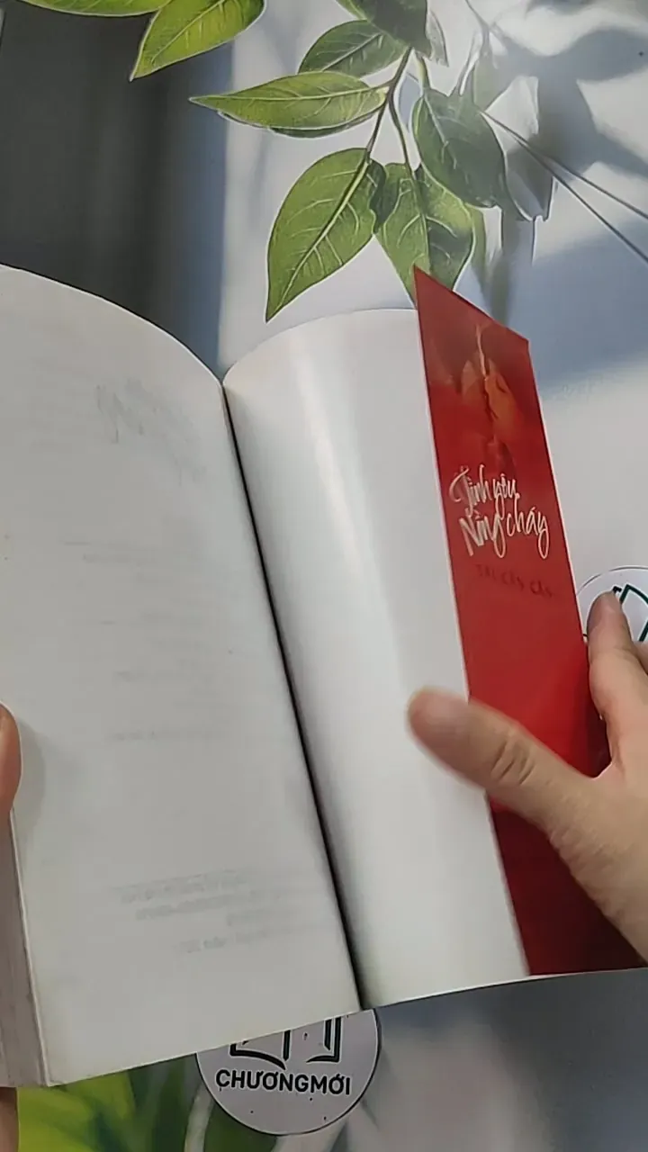 Tình yêu nồng cháy - Sái Cần Cần 688657