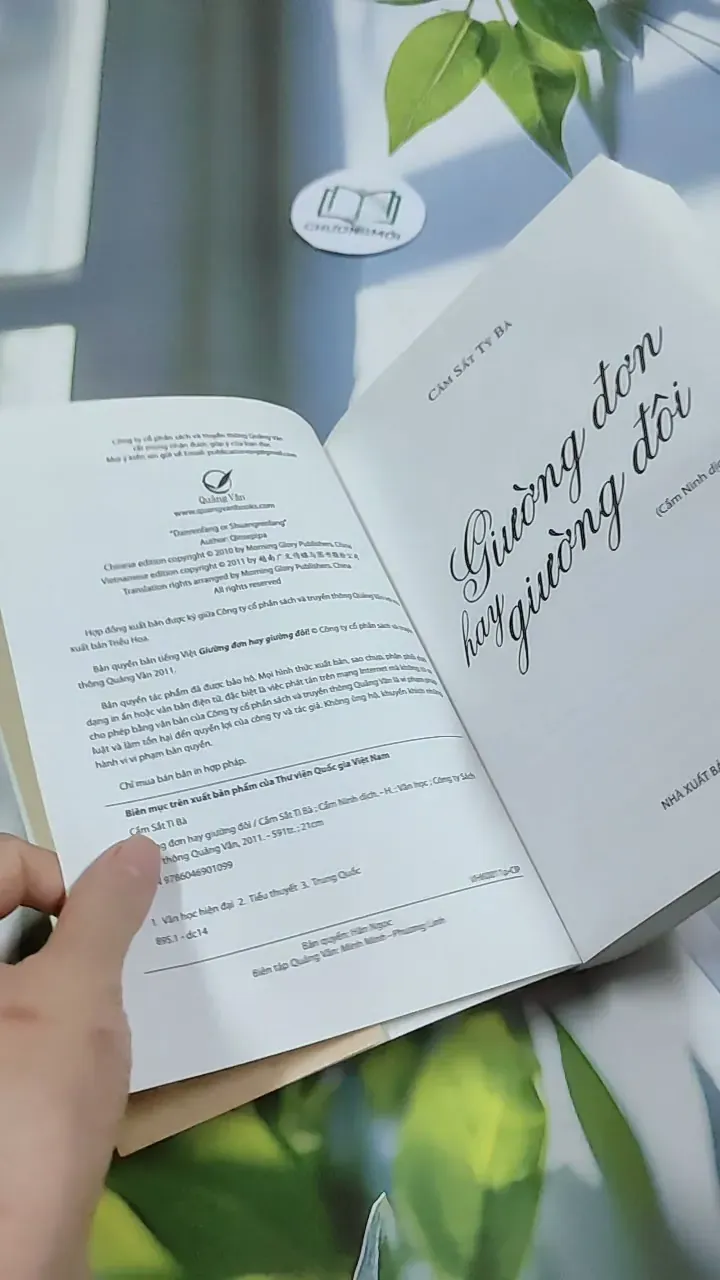 Giường Đơn Hay Giường Đôi - Cầm Sắt Tỳ Bà 744730